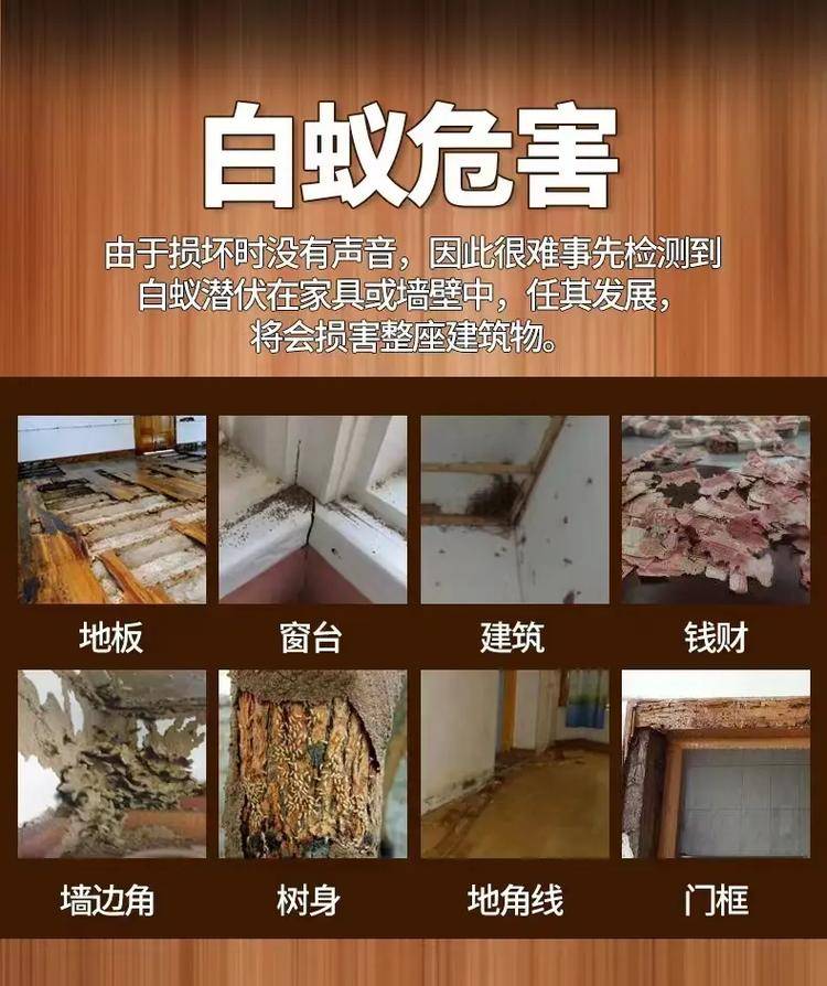 广州白蚁防治中心电话号码，广州白蚁防治所，广州白蚂蚁防治所电话，广州白蚂蚁防治中心