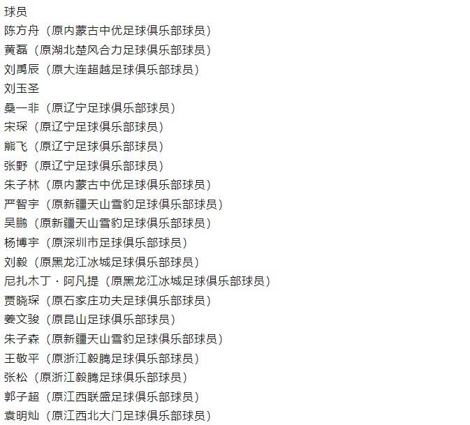 足球行业“假赌黑”第三批处罚具体名单:65人遭罚,17人被终身禁止从事与足球有关活动