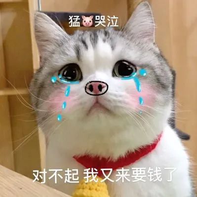 xrp怎么了下架钱就没了吗的简单介绍