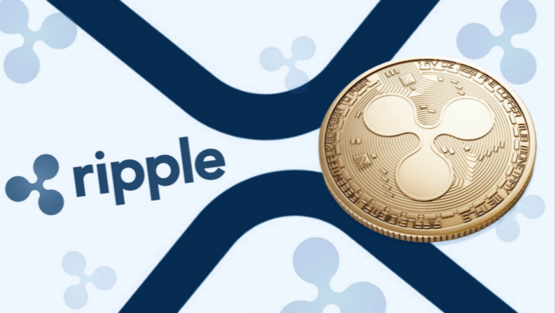 xrp币收益(xrp币价格金色财经)