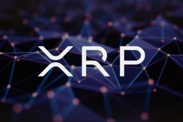 xrp注册后送币(xrp币有投资价值吗)