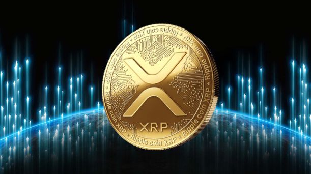 XRP背后投资集团(xrp capital)