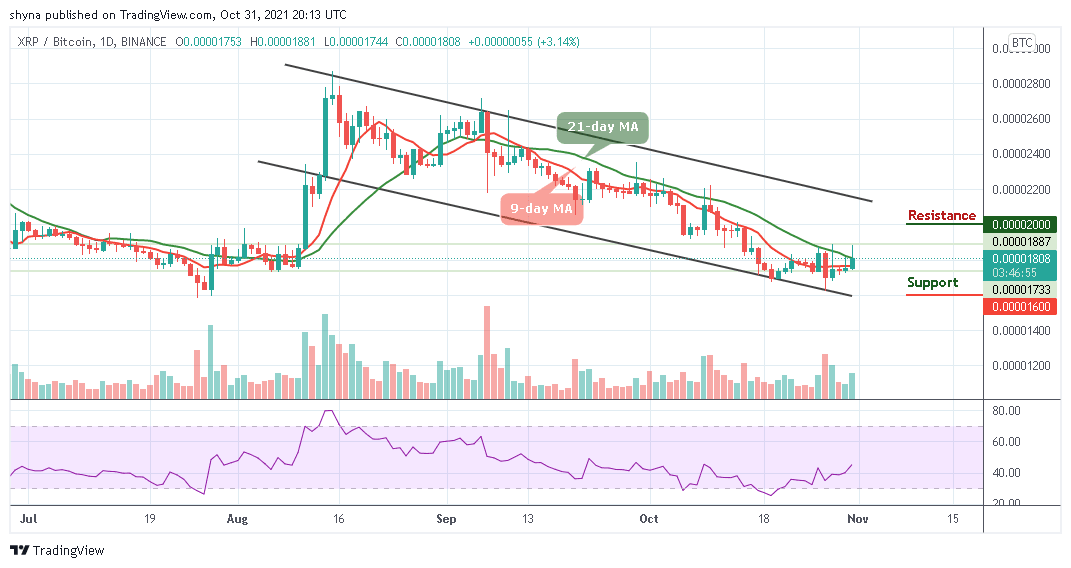 xrp价格走势(xrp价格走势图)