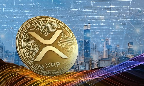 货币xrp(货币的基本职能)