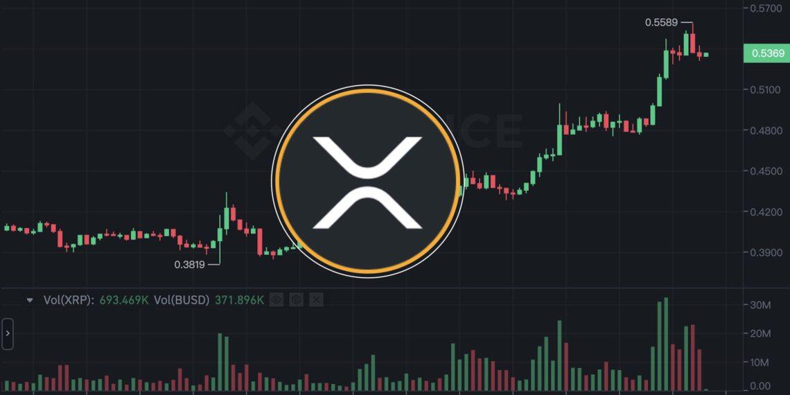 瑞波币xrp购买数量很少(xrp瑞波币还会涨到30吗)