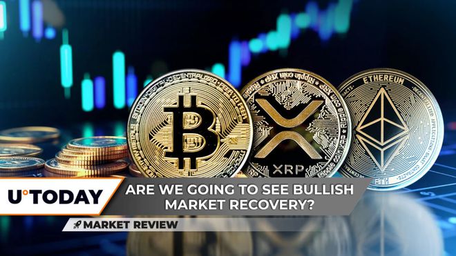包含p6xrp的词条