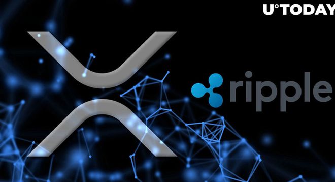 包含买xrp还是ripple的词条
