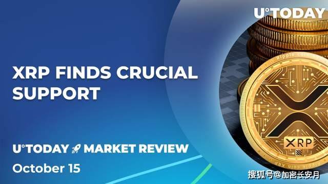 XRP的发展(xrp预计会涨到多少)
