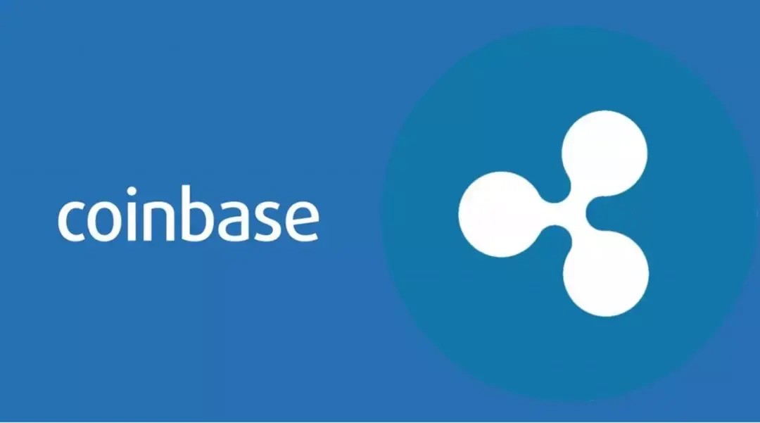 xrp什么公司(xrp是什么币种)