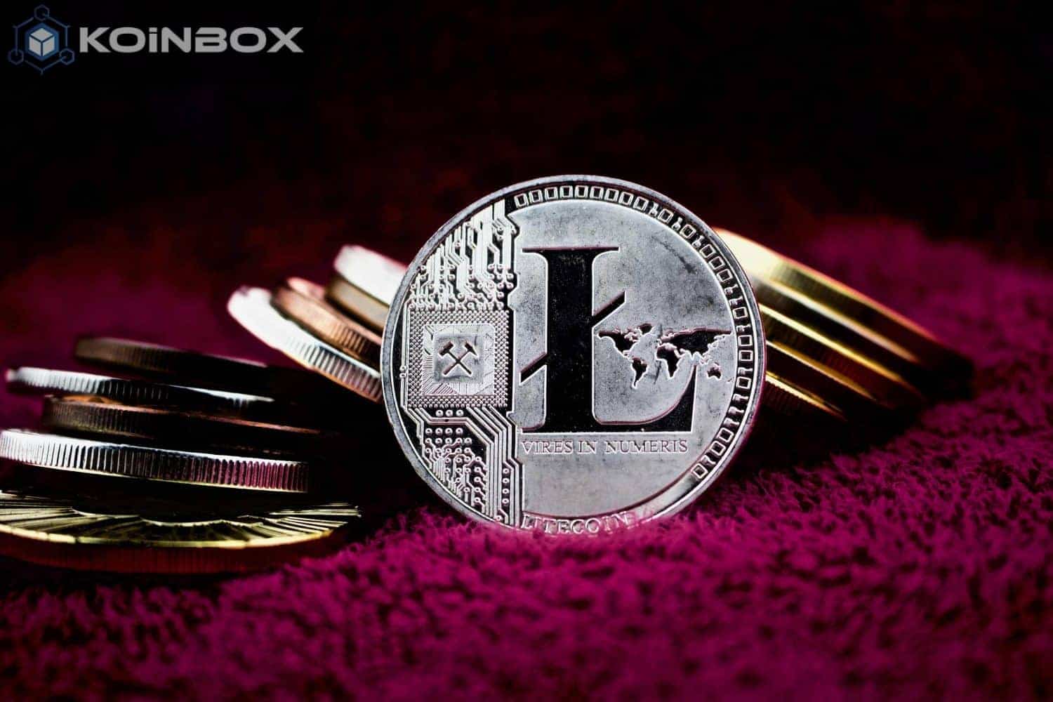 xrp赠送的币(xrp币怎么获得)
