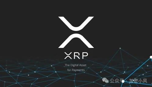 xrp牛市(XRP牛市反弹即将触发)