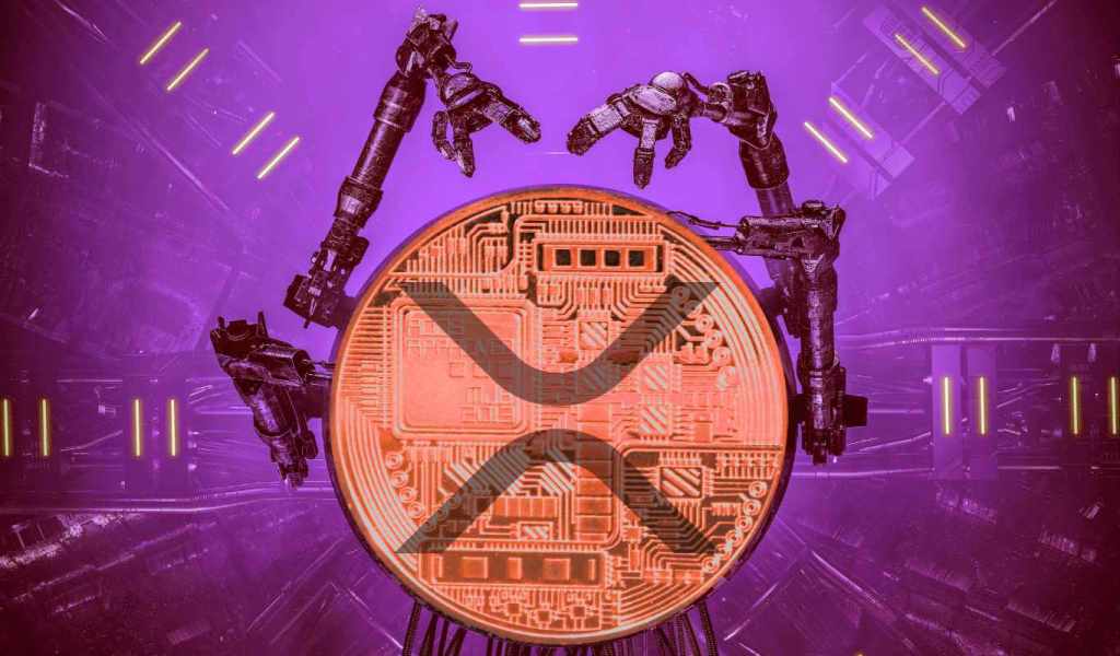 xrp币公司创始人布拉德(xrp币是哪个国家发行)